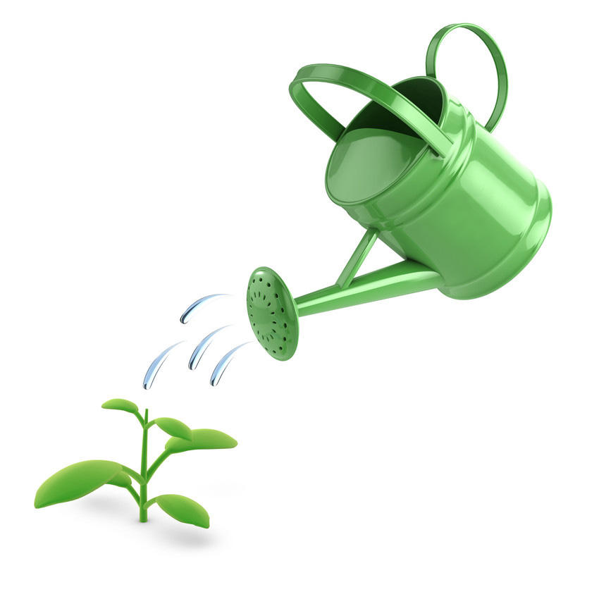 cartoon watering can waters plant