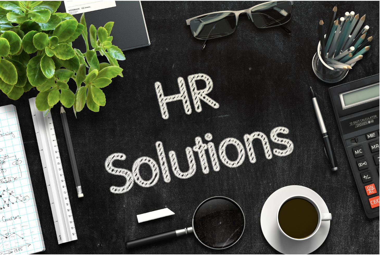 best hr management software